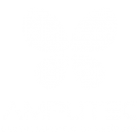 Logotipo Amplitec bg_0-5