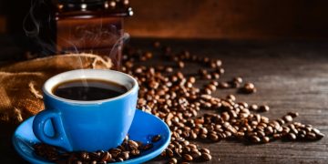 Emissão de CO²: conheça os efeitos e como evitá-los