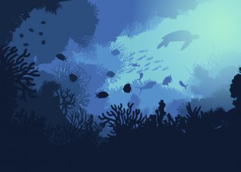 Oceanos: pulmão do planeta