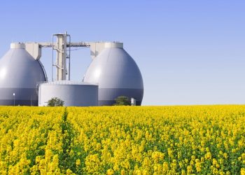 Biogás: a energia que vem dos resíduos