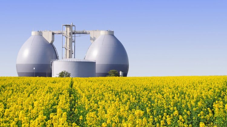 Biogás: a energia que vem dos resíduos