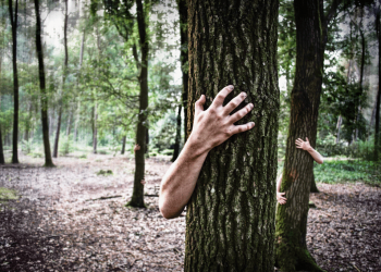 Eco-Ansiedade: você sabe o que é?