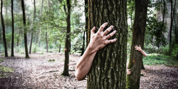 Eco-Ansiedade: você sabe o que é?