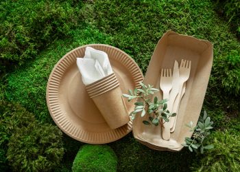 Guia para se tornar um consumidor mais consciente