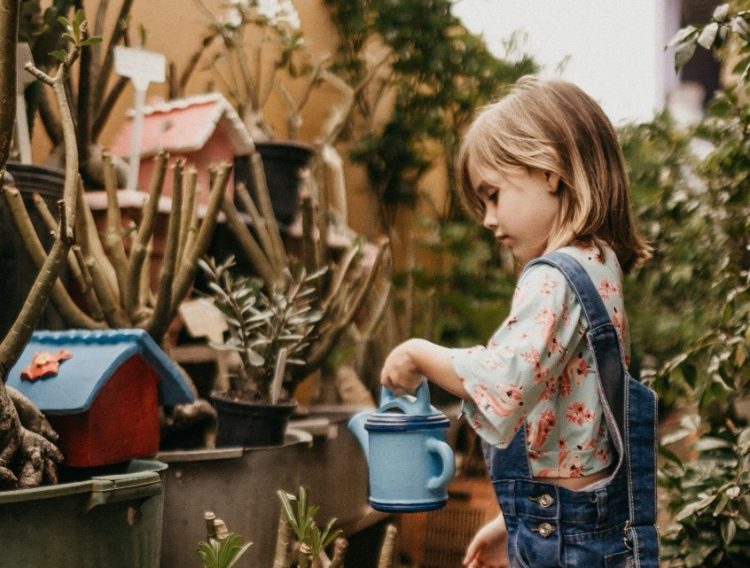 Educação Ambiental na infância: um passo para o futuro