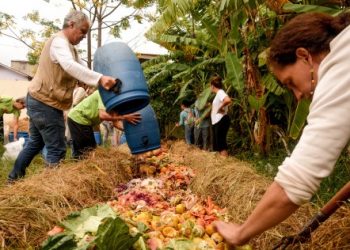 5 motivos para você fazer a compostagem doméstica