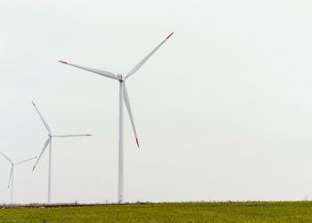 Energias renováveis: descubra quais são e como funcionam