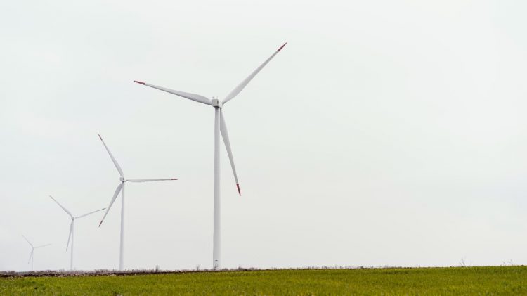 Energias renováveis: descubra quais são e como funcionam