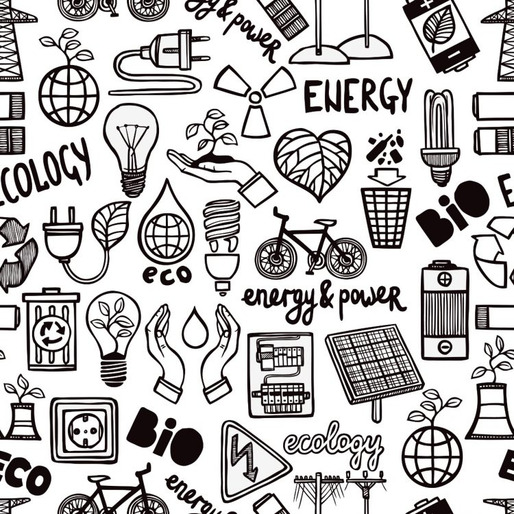 Conheça 3 projetos sustentáveis criados no Brasil