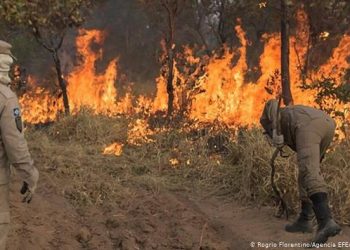 Em três décadas, quase 20% do território brasileiro é consumido por queimadas