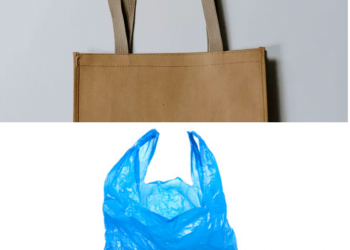 De plástico ou papel? Saiba qual sacola usar em seu negócio