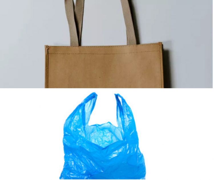 De plástico ou papel? Saiba qual sacola usar em seu negócio