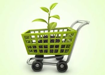 Consumo sustentável: entenda o que é e importância de aderir essa prática