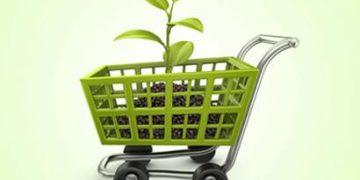 Consumo sustentável: entenda o que é e importância de aderir essa prática