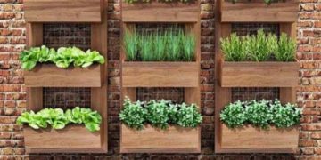 Horta em casa: saiba o que plantar, como cultivar e cuidar das hortaliças