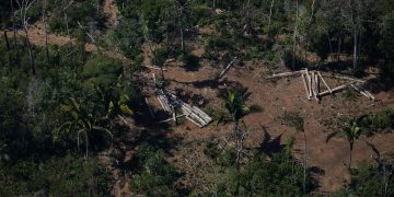 Até quando? Desmatamento na Amazônia atinge nova marca