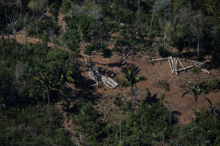 Até quando? Desmatamento na Amazônia atinge nova marca