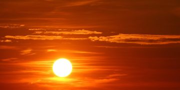 Ondas de calor simultâneas são 7 vezes mais comuns do que nos anos 1980. Entenda o porquê!