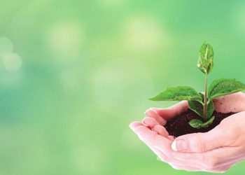 Marketing verde: o que é, como funciona e qual sua importância?