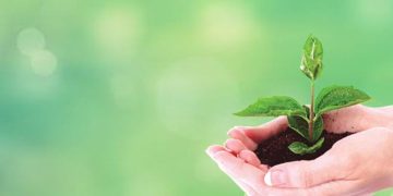 Marketing verde: o que é, como funciona e qual sua importância?