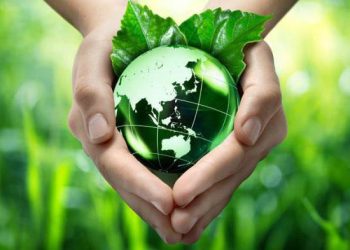 Como a gestão ambiental empresarial pode aumentar a credibilidade da sua empresa?