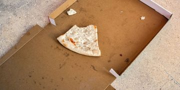 Não se engane! Conheça materiais que parecem descartáveis, mas não são