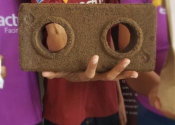 Café, adubo e até tijolo: você sabia que dá para fazer tudo isso a partir do açaí?