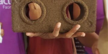 Café, adubo e até tijolo: você sabia que dá para fazer tudo isso a partir do açaí?