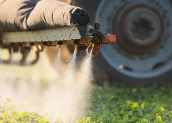 Agrotóxicos nos alimentos: como fugir deles?