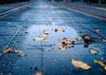 Os alimentos que reforçam a imunidade durante o frio